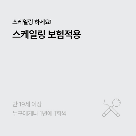 보험적용